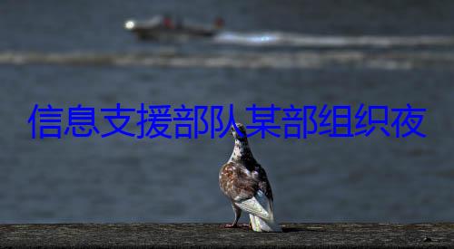 练图信息支援部队某部组织夜间修理训