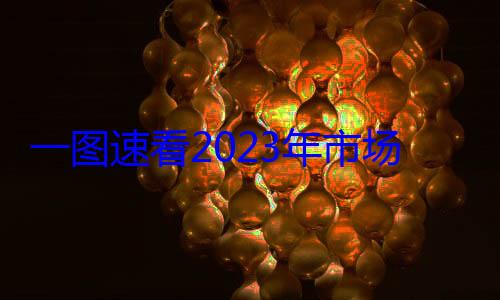 023年市工作成效场监管法治一图速看2