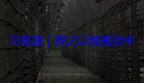 水平发展之以恒推动中俄关系高习言道持